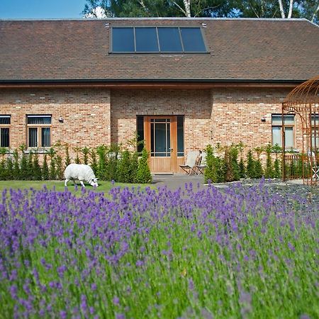 B&B Gielse Garden Gierle Bagian luar foto